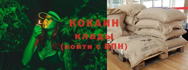 ПСИЛОЦИБИНОВЫЕ ГРИБЫ Богородицк