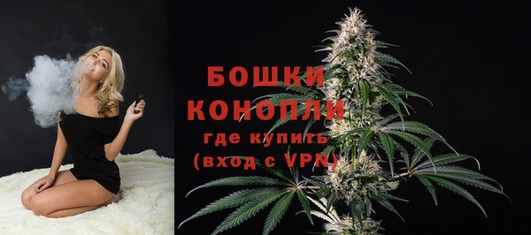 таблы Белокуриха