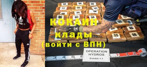 гашик Дмитриев