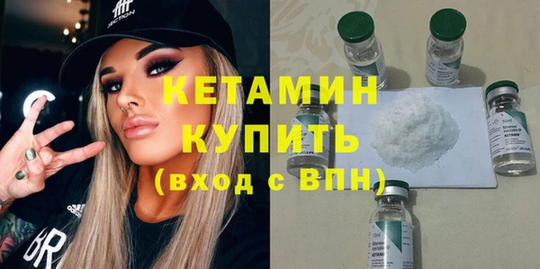 стаф Каменка