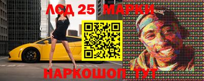 индика Кандалакша