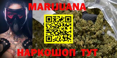 индика Кандалакша
