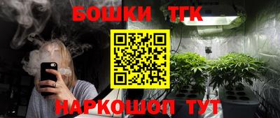 индика Кандалакша