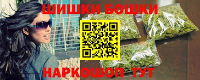индика Кандалакша