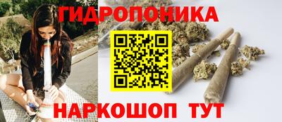 индика Кандалакша