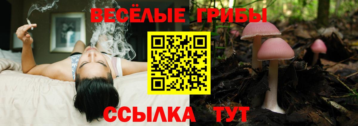 где найти   Псилоцибиновые грибы ЛСД  Вход с VPN  Волжск 